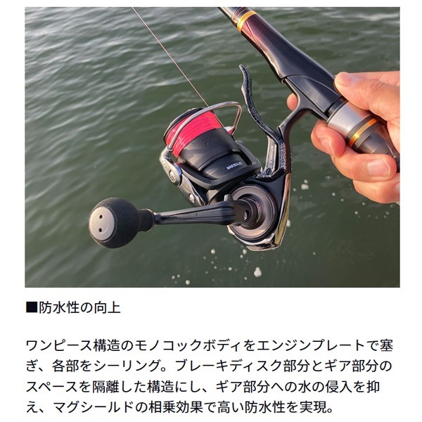 25銀狼